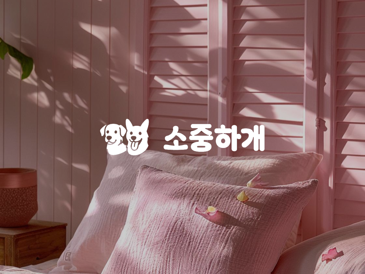 소중하개 이미지