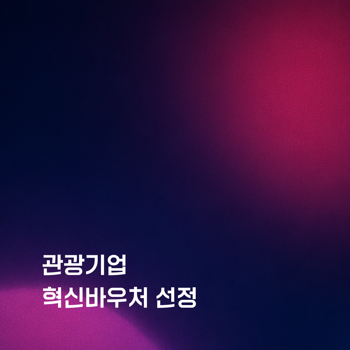 리바이저, 관광기업 혁신바우처 제공기업 선정으로 웹 개발 서비스 수행 기회 확보