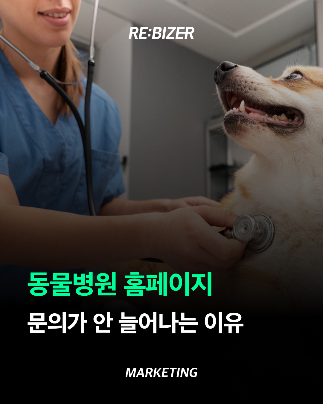 동물병원 홈페이지, 문의가 안 늘어나는 이유