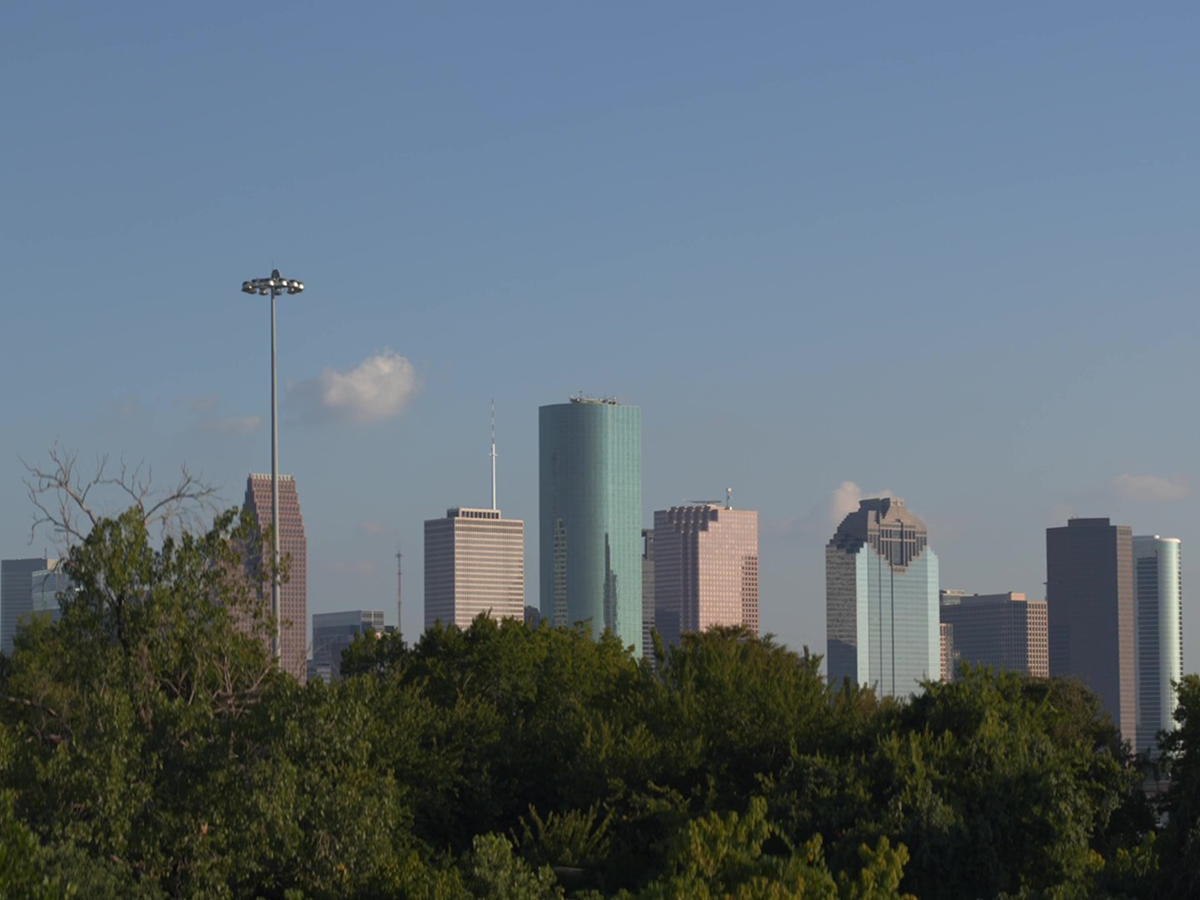 법률사무소 사림 이미지